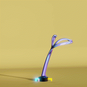 wacky_dude_tubes: 3630