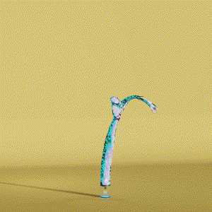 wacky_dude_tubes: 3417