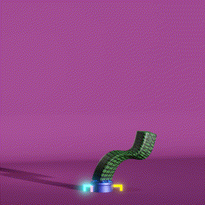 wacky_dude_tubes: 4435
