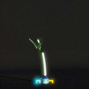 wacky_dude_tubes: 161