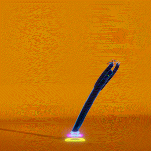wacky_dude_tubes: 8022