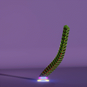 wacky_dude_tubes: 7957