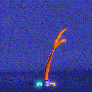 wacky_dude_tubes: 4104