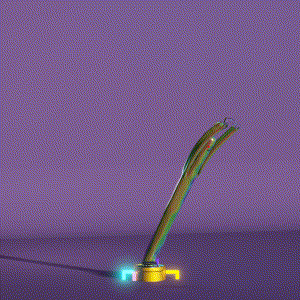 wacky_dude_tubes: 8087