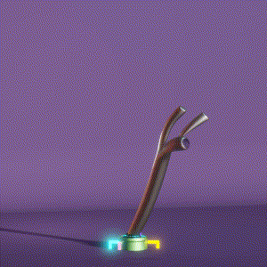 wacky_dude_tubes: 5683