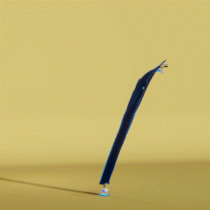 wacky_dude_tubes: 8427