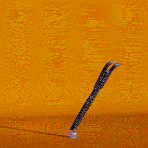 wacky_dude_tubes: 714