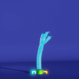 wacky_dude_tubes: 4782