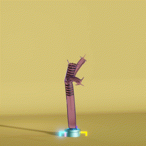 wacky_dude_tubes: 6580