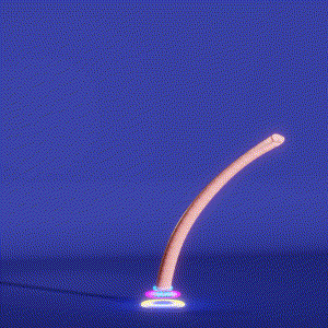 wacky_dude_tubes: 8447
