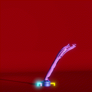 wacky_dude_tubes: 291