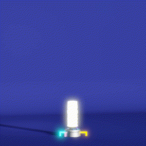 wacky_dude_tubes: 2321