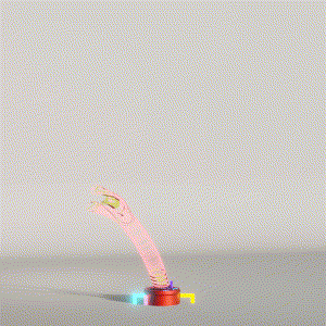 wacky_dude_tubes: 7355