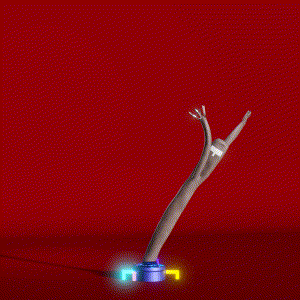 wacky_dude_tubes: 848