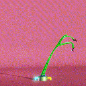 wacky_dude_tubes: 2800