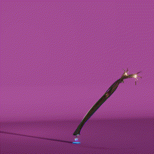 wacky_dude_tubes: 9806