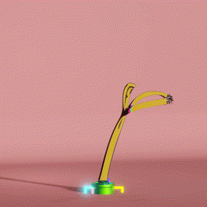 wacky_dude_tubes: 5858