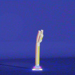 wacky_dude_tubes: 7530