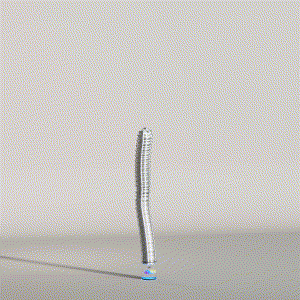 wacky_dude_tubes: 295