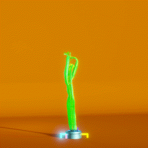 wacky_dude_tubes: 2455