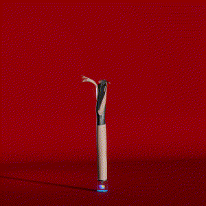 wacky_dude_tubes: 1470