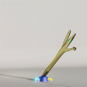 wacky_dude_tubes: 8439