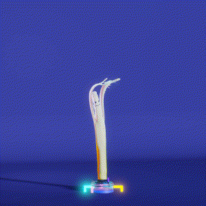 wacky_dude_tubes: 6588