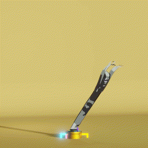 wacky_dude_tubes: 600