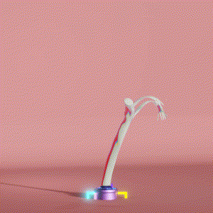 wacky_dude_tubes: 962