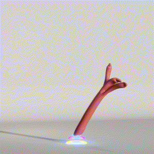 wacky_dude_tubes: 3334