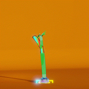 wacky_dude_tubes: 8675