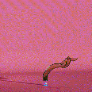 wacky_dude_tubes: 3772
