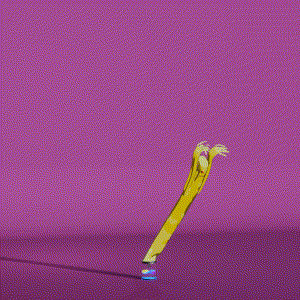 wacky_dude_tubes: 8010