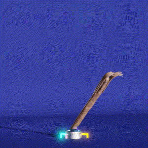 wacky_dude_tubes: 5735
