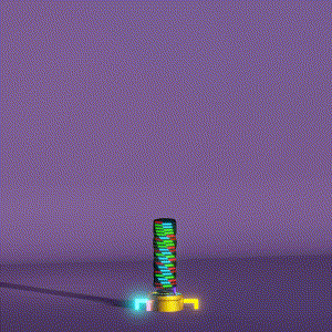 wacky_dude_tubes: 8851