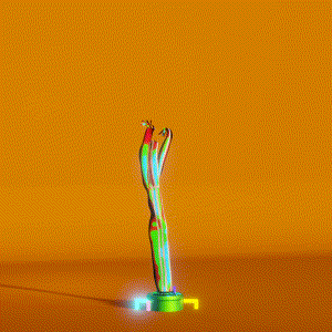wacky_dude_tubes: 8072