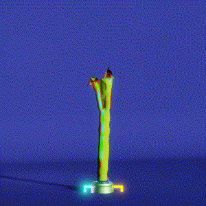 wacky_dude_tubes: 8855
