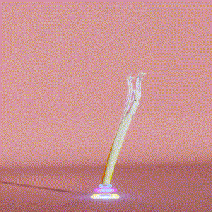 wacky_dude_tubes: 9526