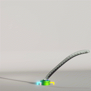 wacky_dude_tubes: 6246