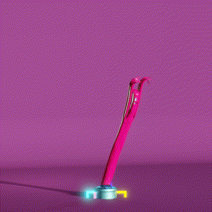 wacky_dude_tubes: 3637