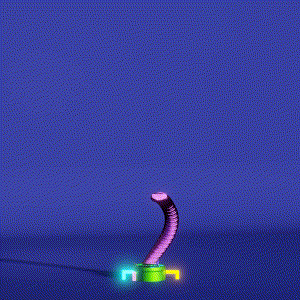 wacky_dude_tubes: 6007