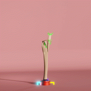 wacky_dude_tubes: 2243