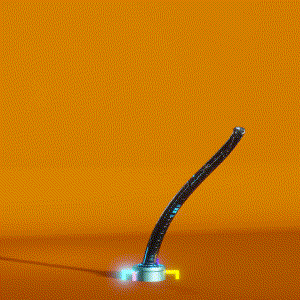 wacky_dude_tubes: 7360