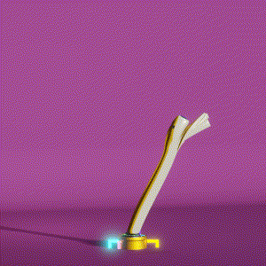 wacky_dude_tubes: 9656