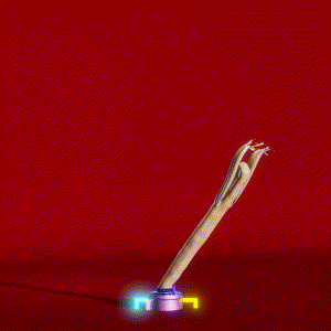wacky_dude_tubes: 6795