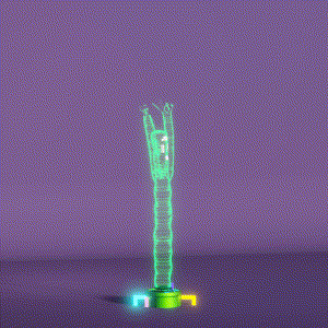 wacky_dude_tubes: 733