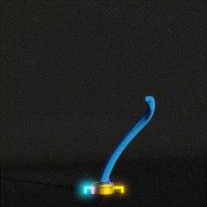 wacky_dude_tubes: 2247