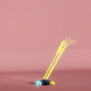 wacky_dude_tubes: 7832