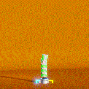 wacky_dude_tubes: 2732