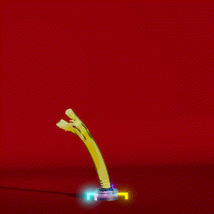 wacky_dude_tubes: 7289